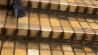 コスプレイヤーさんを狙って....30