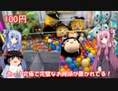 琴葉姉妹と行く釣行記録（ゲーム編part38）