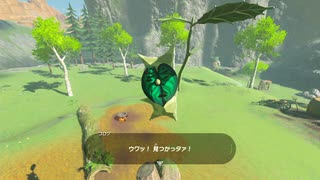 【実況】『ゼルダの伝説 ブレス オブ ザ ワイルド』 Part5