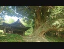【実況探索2023】千葉県 長柄町の神社巡り【#26】