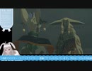 【生放送アーカイブ】ゾーラ観光と地上絵とおのれカバンダぁ！なティアキン生放送22回目【5/8】