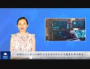 中国のハッカーに嫌がらせを受けた仏の元議員が再び報告