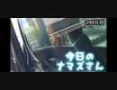 赤ちゃんなまず飼育日記 299日目