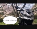 【ゆっくり】また千本桜公園に行ってきた【桜】