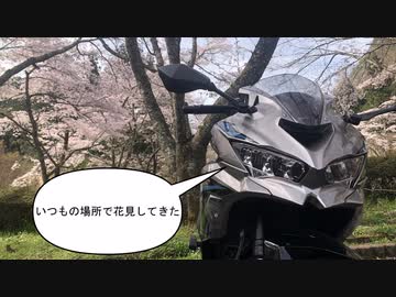 【ゆっくり】また千本桜公園に行ってきた【桜】