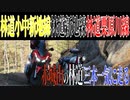 【ななまる日記】オフ車で行かない林道ツーリング　赤城の林道三本一気に走る