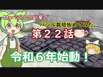 第２２話Mrバジルのゆっくり副業でバジル栽培始めてみた。