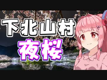 下北山村の夜桜を見に行ってみた