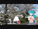 雨晴はうのドライブ　佐賀県　佐賀城跡【城郭登城祭】