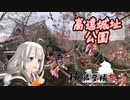 【城郭登城祭】早朝から高遠城址の桜を見に行くあかりさん【VOICEROID車載】