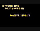 紅子の宇宙船 －音声版－ 2024年04月08日