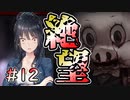 【廃深】絶望は始まったばかり #12