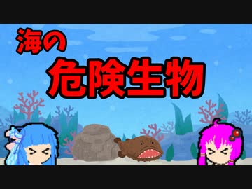 【VOICEROID解説】ゆかり先輩と見る危険生物【海編⑨】