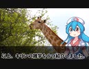 【動物雑学】キリンのおもしろい雑学８選を解説！【雨晴はう】