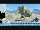 【生放送アーカイブ】ゾーラ観光と地上絵とおのれカバンダぁ！なティアキン生放送22回目【8/8】