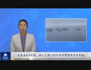 日米豪比4カ国、南シナ海で初の合同軍事演習を実施