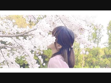 【さくらみか】春泥棒【踊ってみた】