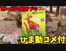 【ひま動コメ付】思い出の積みプラレビュー集 第98回 ☆ ARII TV・マスコミ大流行! 鹿のフン くみたて、たったの1分でOK!!