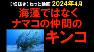 2024年4月情報　キモいなぁ。ワクって、どうして中止にならないのだろうな～。