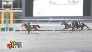 2024年4月9日名古屋競馬11R 卯月（うづき）昇竜戦(A級特別) インペリシャブル