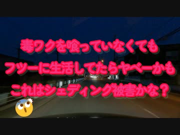 これはシェディングか？