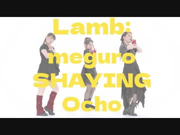 【meguro SHAYING Ocho】Lamb.踊ってみた＋NG集