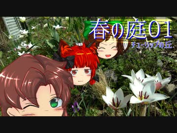 春の庭01【ビオガーデン(仮)Season2】