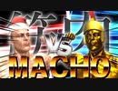 説明不要の筋肉頂上回転決戦『MACHO SPINNER』