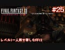 レベル1一人旅で楽しむFF12 #25【FF12TZA/ゆっくり実況】