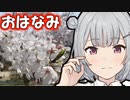 こはる歩こっ花「人であふれる桜の名所！」【小春六花】