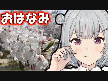 こはる歩こっ花「人であふれる桜の名所！」【小春六花】