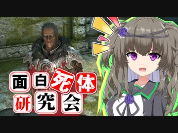 【Skyrim】最強魔術師か！？ハルディン【面白死体研究会】
