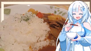 これは料理動画ですか？ ー はい、料理動画です。豚骨カレーを作ります。あ、別に豚骨を煮出したりはしません。袋麺の粉末スープを使います。え？妥協するな？ほならね、自分でやってみろって話でしょ？私はそ…