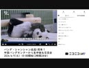 【ニコニコニュース】【最後の20分のみ】パンダ・シャンシャン返還1周年！中国パンダセンターから生中継＆交流会【2024/4/9】