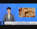ケンブリッジの医療チームが誤って、「コロナワクチンの真実」を伝える