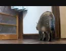 派手にやらかしました…