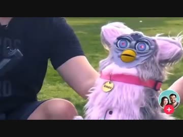 ホモと見る魔改造されてしまうファービー人形