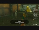 #20【ゼルダの伝説 ティアーズ オブ ザ キングダム】金色の馬がいる！欲しい！