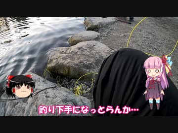 琴葉姉妹と行く釣行記録（釣り堀編part23）