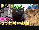 【実話】風俗にいったときのお話【猫ミーム】