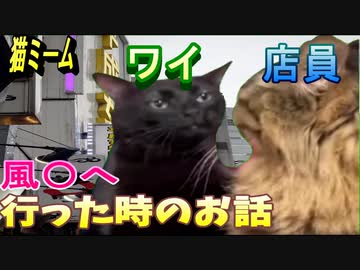 【実話】風俗にいったときのお話【猫ミーム】