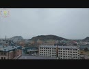 2024.04.12 (56倍速)ニコ生TSDL
