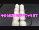【完全栄養】【生存報告】　生卵10個にフルーツ香るマスカット紅茶混ぜたら最高のプロテインが完成しました817日目