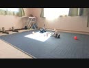 Aibo ERS-7 ホワイト (ナカ) ②コケる( ;∀;)