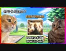 【猫ミーム】DanceDanceRevolution初心者にしてはならないこと【DDR】