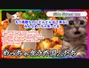 【猫ミーム】初めてハワイに行ったら楽しくてハメをはずしすぎた話