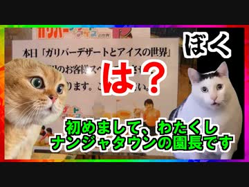 【猫ミーム】池袋ナンジャタウンでおいしいパフェを食べた話 【バンダイナムコアミューズメント】