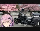 【CeVIO車載】フィーちゃんとだらだら二輪日記　伊豆周遊　その4