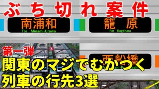 【ぶち切れ】関東のマジでむかつく列車の行先3選【JR東日本】【ゆっくり解説】