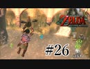 【トワプリ】アクションゲームがお下手【ゼルダの伝説 トワイライトプリンセス/ゲーム実況】part26